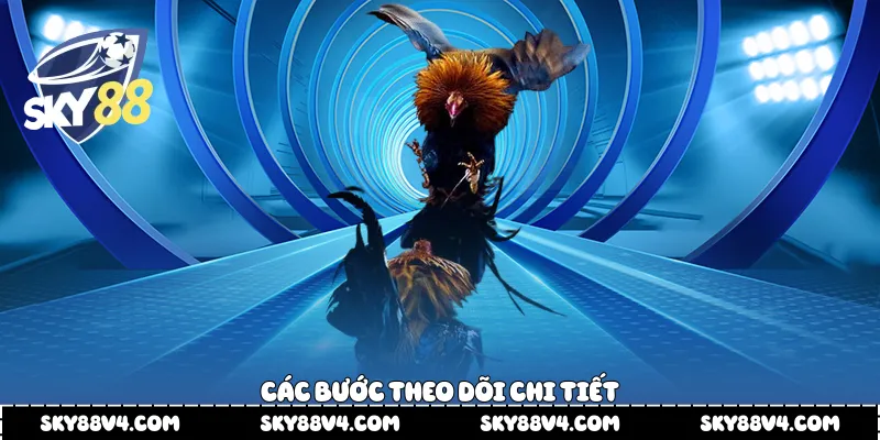 Các bước theo dõi chi tiết