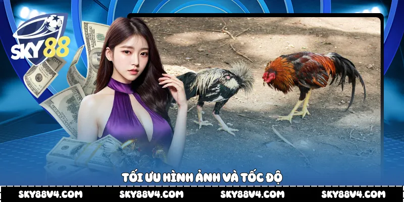 Tối ưu hình ảnh và tốc độ